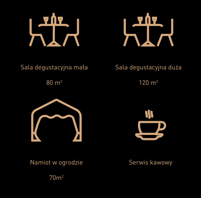 Oferta wynajmu